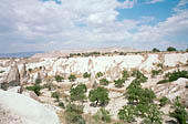 Cappadocia, the Rose valley